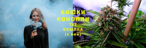 spice Балахна