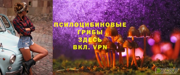 a pvp Баксан